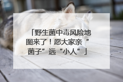 野生菌中毒风险地图来了！愿大家亲“菌子”远“小人”