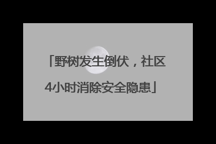野树发生倒伏，社区4小时消除安全隐患
