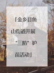 金乡县鱼山街道开展“三防”护苗活动