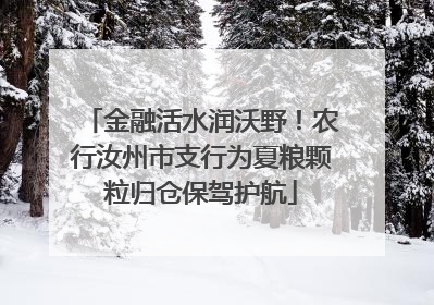 金融活水润沃野！农行汝州市支行为夏粮颗粒归仓保驾护航