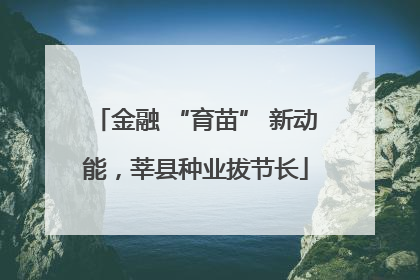 金融 “育苗” 新动能，莘县种业拔节长