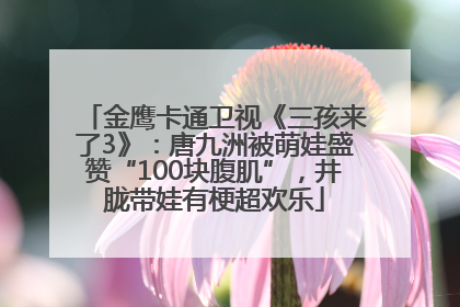 金鹰卡通卫视《三孩来了3》：唐九洲被萌娃盛赞“100块腹肌”，井胧带娃有梗超欢乐