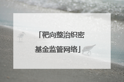 靶向整治织密基金监管网络