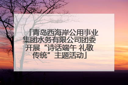 青岛西海岸公用事业集团水务有限公司团委开展“诗话端午 礼敬传统”主题活动