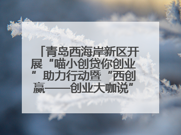 青岛西海岸新区开展“喵小创贷你创业”助力行动暨“西创赢——创业大咖说”主题活动