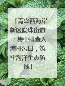 青岛西海岸新区隐珠街道：集中排查入海排污口，筑牢海洋生态防线
