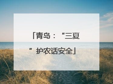 青岛：“三夏”护农话安全