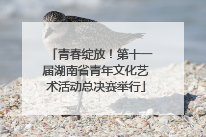 青春绽放！第十一届湖南省青年文化艺术活动总决赛举行
