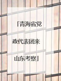 青海省党政代表团来山东考察