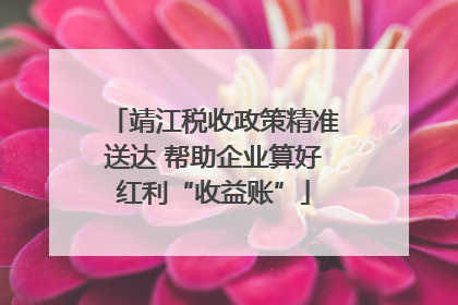 靖江税收政策精准送达 帮助企业算好红利“收益账”