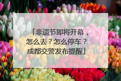 非遗节即将开幕，怎么去？怎么停车？成都交警发布提醒