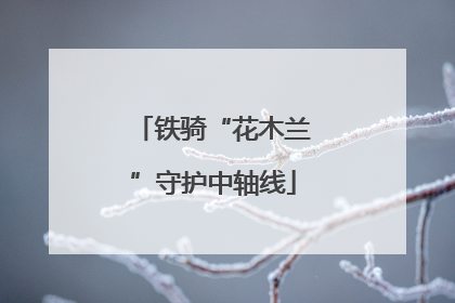 铁骑“花木兰”守护中轴线