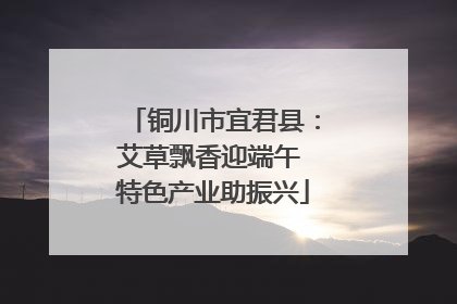 铜川市宜君县：艾草飘香迎端午 特色产业助振兴