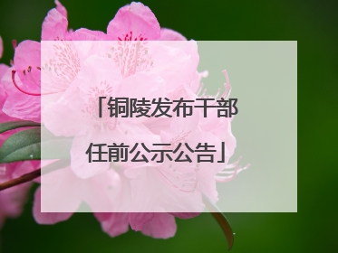 铜陵发布干部任前公示公告
