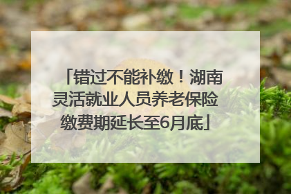 错过不能补缴！湖南灵活就业人员养老保险缴费期延长至6月底