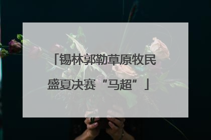 锡林郭勒草原牧民盛夏决赛“马超”