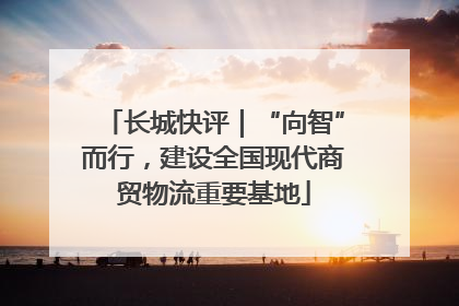 长城快评｜“向智”而行，建设全国现代商贸物流重要基地