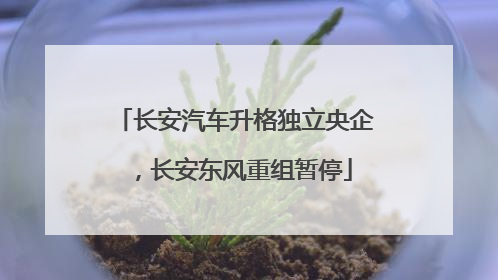长安汽车升格独立央企，长安东风重组暂停