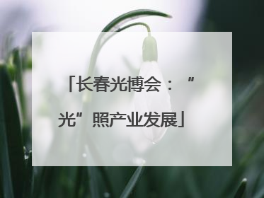 长春光博会：“光”照产业发展