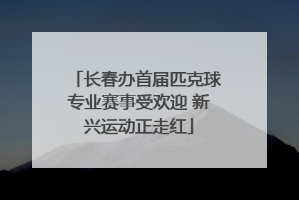 长春办首届匹克球专业赛事受欢迎 新兴运动正走红