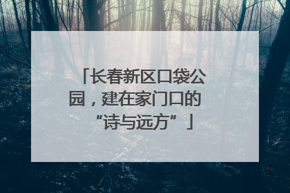 长春新区口袋公园，建在家门口的“诗与远方”