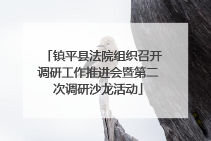 镇平县法院组织召开调研工作推进会暨第二次调研沙龙活动
