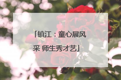 镇江：童心展风采 师生秀才艺