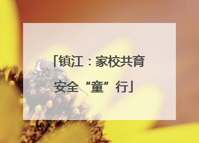 镇江：家校共育 安全“童”行