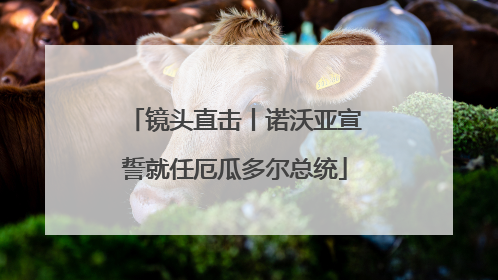 镜头直击丨诺沃亚宣誓就任厄瓜多尔总统