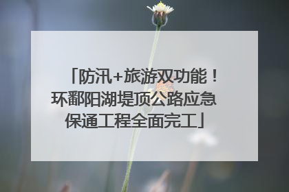 防汛+旅游双功能！环鄱阳湖堤顶公路应急保通工程全面完工