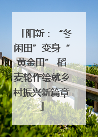 阳新：“冬闲田”变身“黄金田” 稻麦轮作绘就乡村振兴新篇章