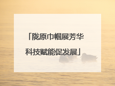 陇原巾帼展芳华 科技赋能促发展