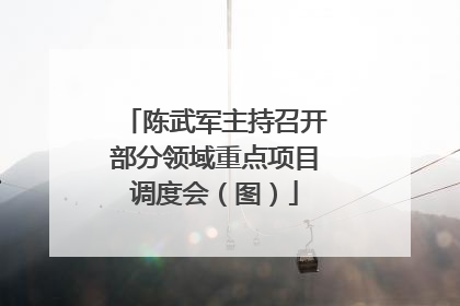 陈武军主持召开部分领域重点项目调度会（图）
