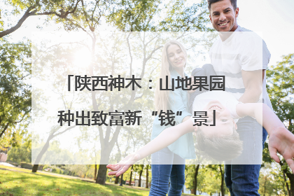陕西神木：山地果园种出致富新“钱”景