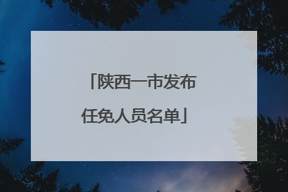 陕西一市发布任免人员名单
