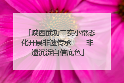 陕西武功二实小常态化开展非遗传承——非遗沉淀自信底色