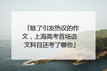 除了引发热议的作文，上海高考首场语文科目还考了哪些