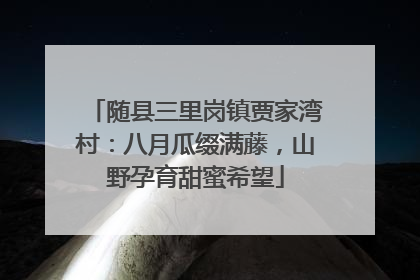 随县三里岗镇贾家湾村：八月瓜缀满藤，山野孕育甜蜜希望