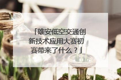 雄安低空交通创新技术应用大赛初赛带来了什么？