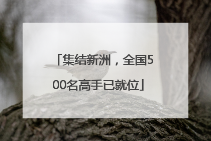 集结新洲，全国500名高手已就位
