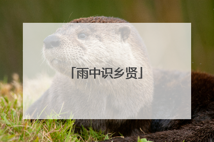 雨中识乡贤