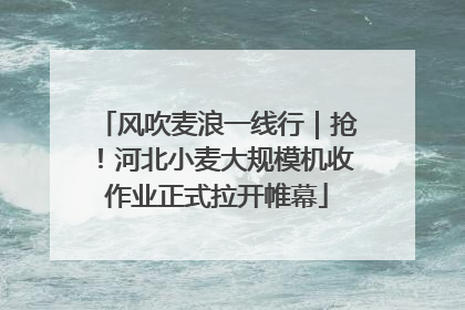 风吹麦浪一线行｜抢！河北小麦大规模机收作业正式拉开帷幕