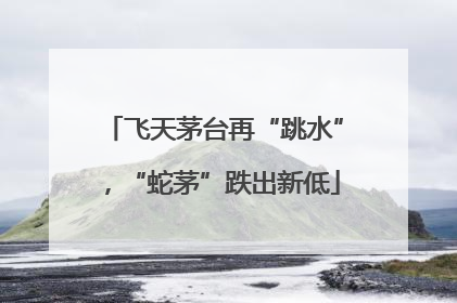 飞天茅台再“跳水”，“蛇茅”跌出新低