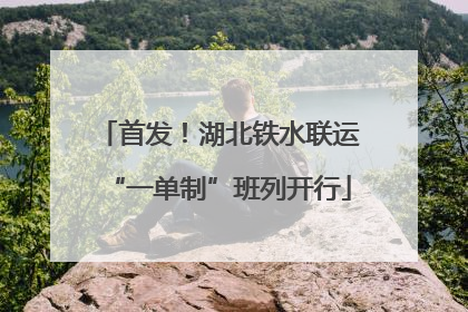 首发！湖北铁水联运“一单制”班列开行