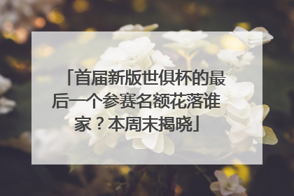 首届新版世俱杯的最后一个参赛名额花落谁家？本周末揭晓
