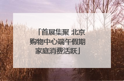 首展集聚 北京购物中心端午假期家庭消费活跃