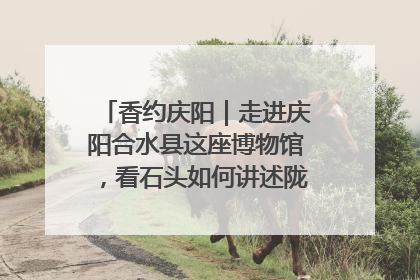 香约庆阳｜走进庆阳合水县这座博物馆，看石头如何讲述陇东千年历史