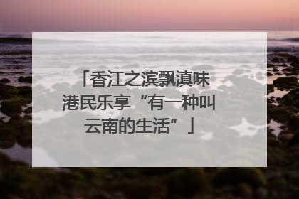 香江之滨飘滇味 港民乐享“有一种叫云南的生活”