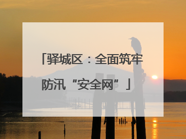 驿城区：全面筑牢防汛“安全网”