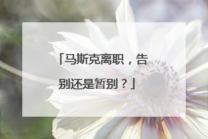 马斯克离职，告别还是暂别？